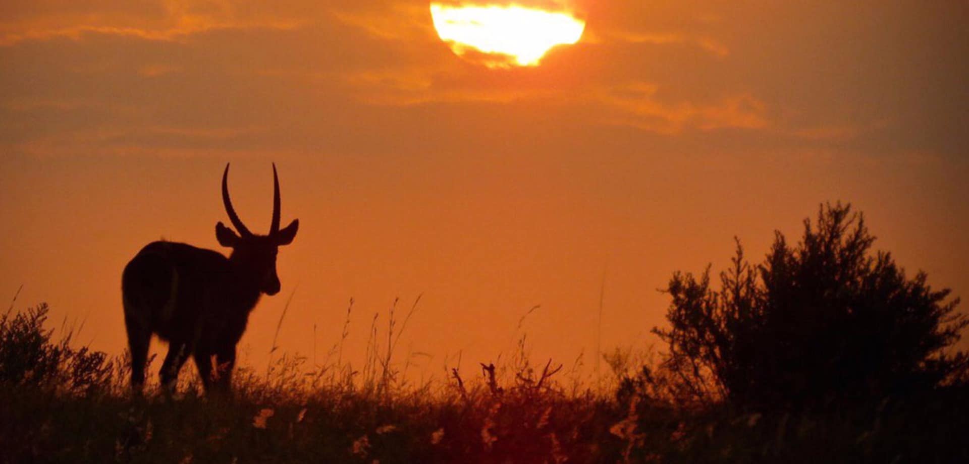 Africa do sul kapama river lodge por do sol